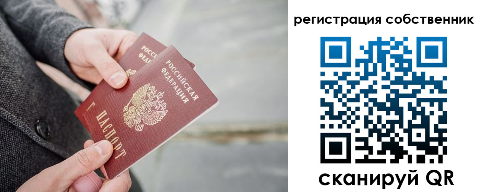 временная регистрация гарантия в Волхове