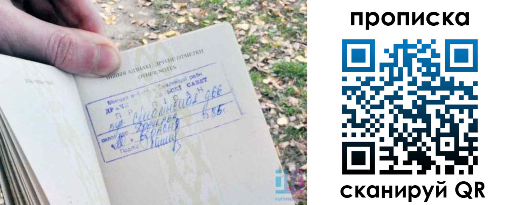 прописка в квартире в Волхове